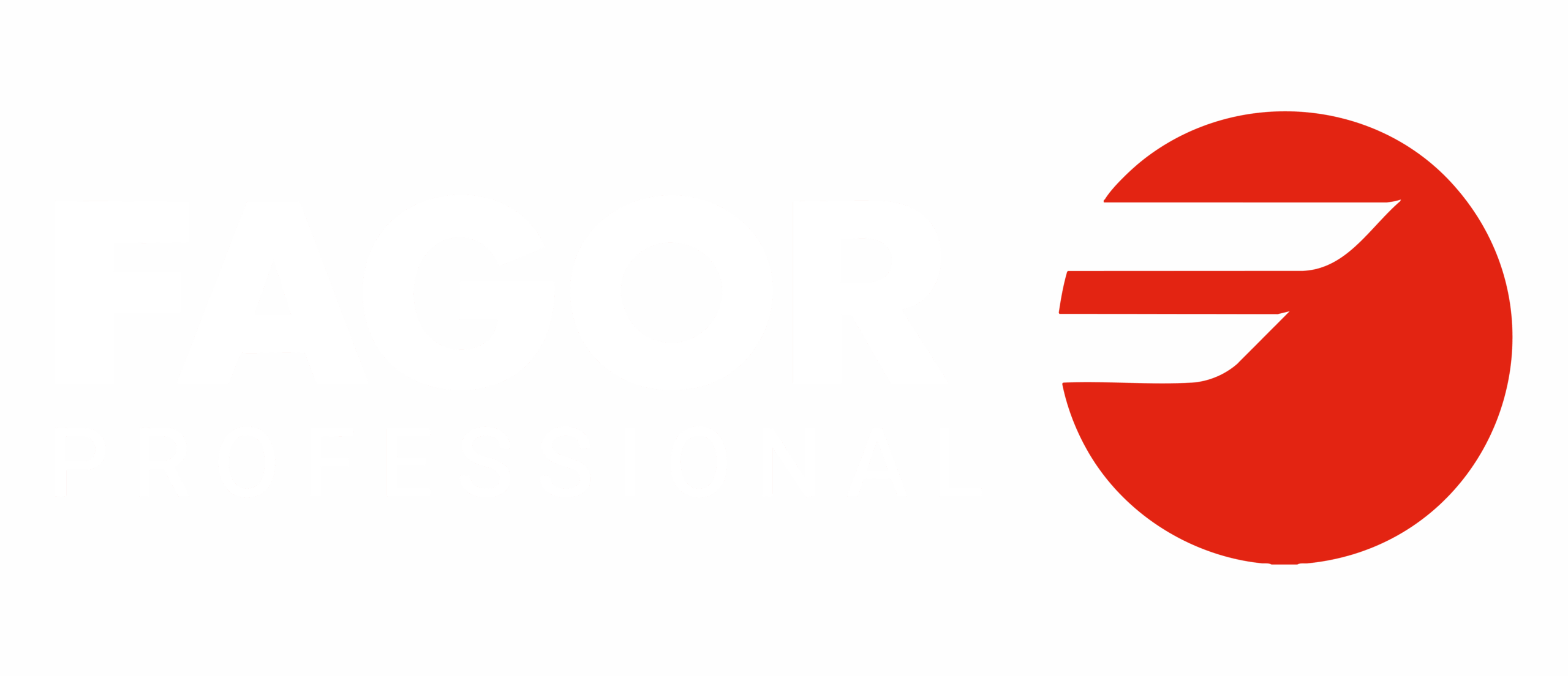 logo fagor